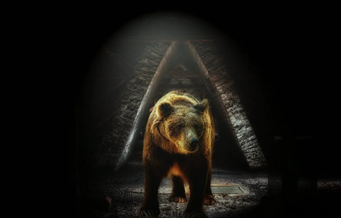 Alibaba: Go Hibernate Now, Bears - China Reopening Is Already Upon Us (NYSE:BABA