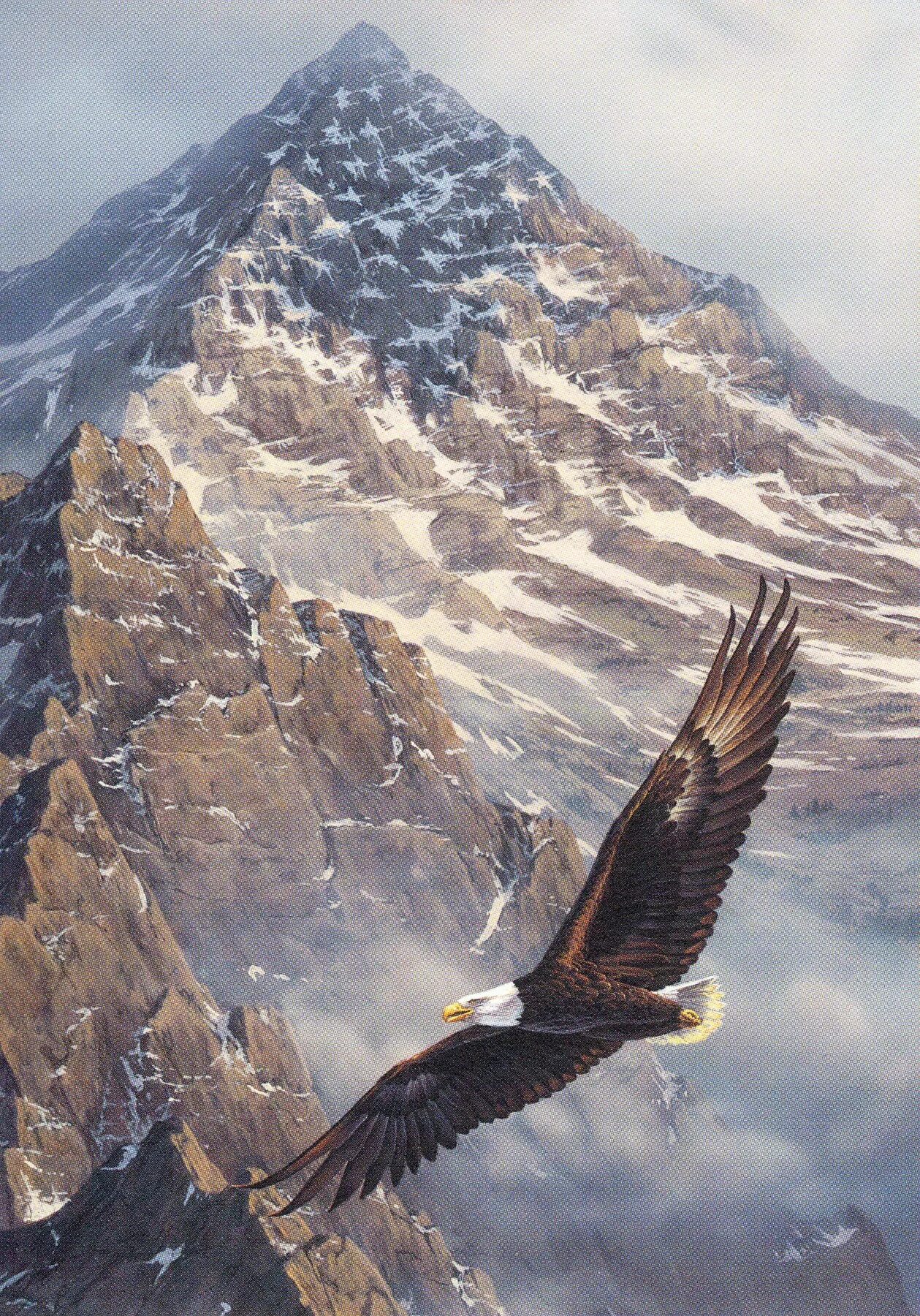 Человек летит на орле. Орел Беркут Дагестана в хребтах Кавказа. Птица над горами. Парящий Орел. Орел над горами.