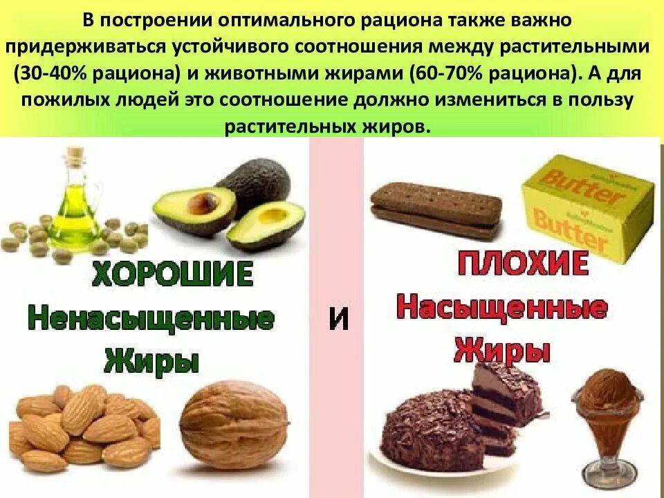 Соотношение животных и растительных жиров в рационе