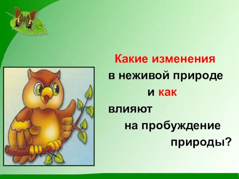 Изменения весны в живой природе. Изменения в живой и неживой природе весной. Весенние явления в неживой природе. Явления природы весной в неживой природе. Весенние изменения.
