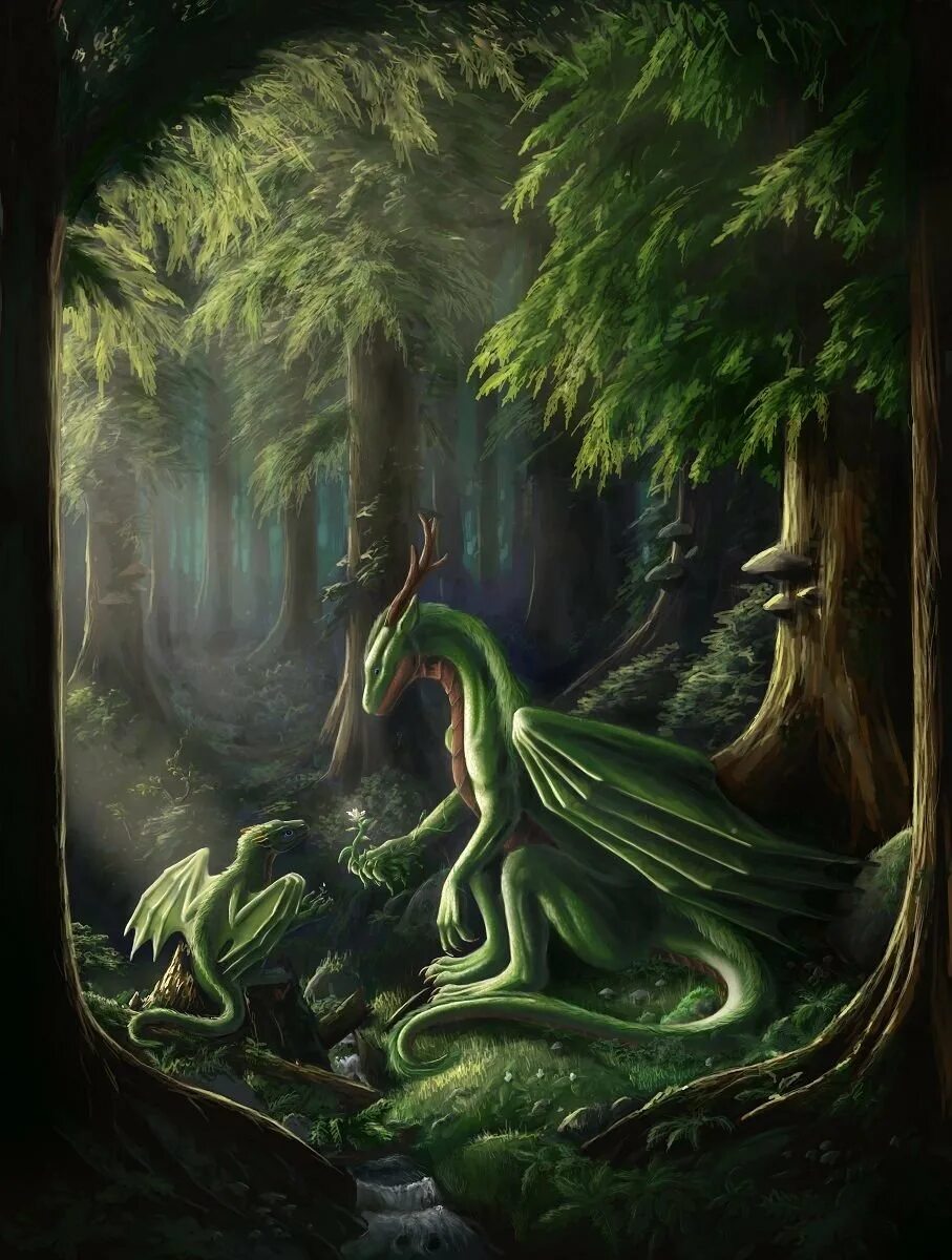 Рисунок зеленого деревянного дракона. Колхидский дракон. Лесной дракон Эш. Форест драгон. Брим зелёный дракон.