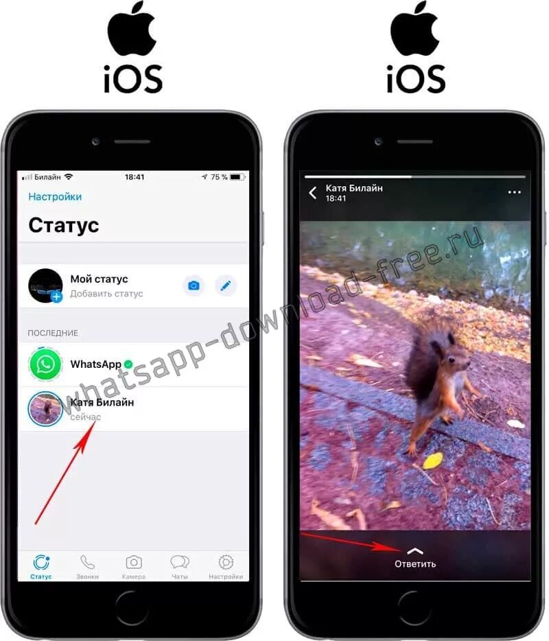 Статус про айфон. Статус в ватсап на айфоне. Фото на статус ватсап. Как выложить статус в ватсапе. Как поставить фото на статусе в ватсапе