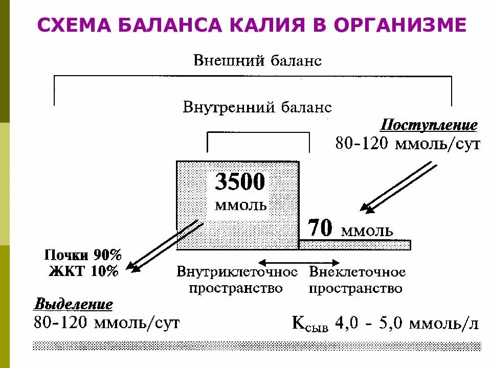 Чем отличается калий. Обмен калия и натрия в организме биохимия. Распределение калия в организме. Роль калия в организме биохимия. Обмен калия в организме.