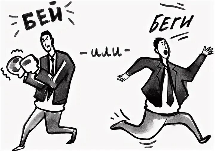 Реакция на стресс бей беги замри. Бороться бежать. Бороться бежать. Замри беги. Реакция «бей или беги».