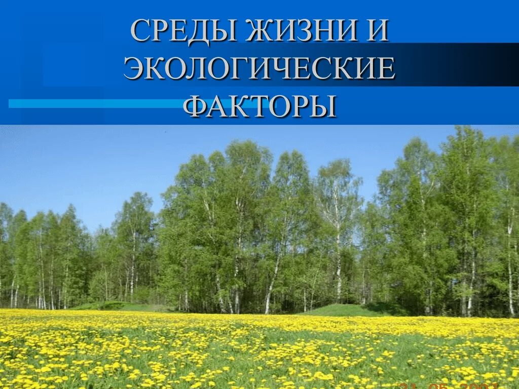 Экологические факторы. Экологические факторы среды. Экологические среды жизни. Среды жизни и экологические факторы среды. Экология среды жизни и экологические факторы