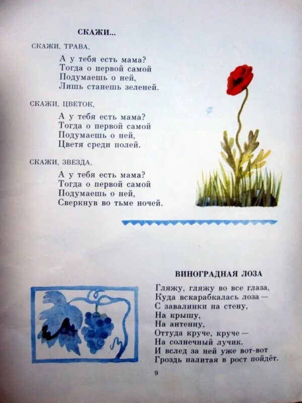 Стихотворения Григория Виеру. Григоре Виеру мамин портрет. Стихи молдавского поэта Григория Виеру.