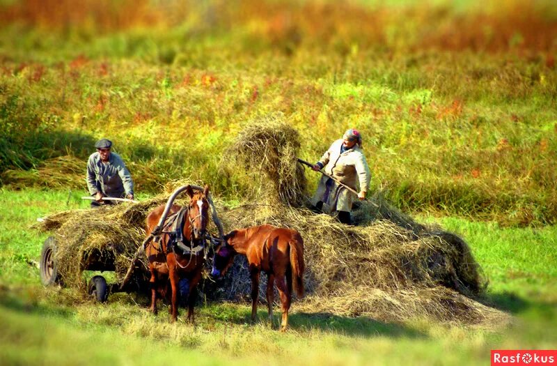Не погубите землю отцов своих и дедов. Что такое топонимика моей малой родины. Земля отцов и дедов фото. Славяне картины. Земля отцов и дедов.