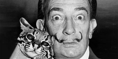 Salvador dali ocelot