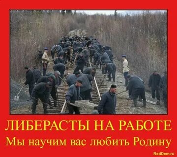 Работай сволочь