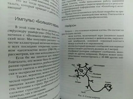Искусство контакта
