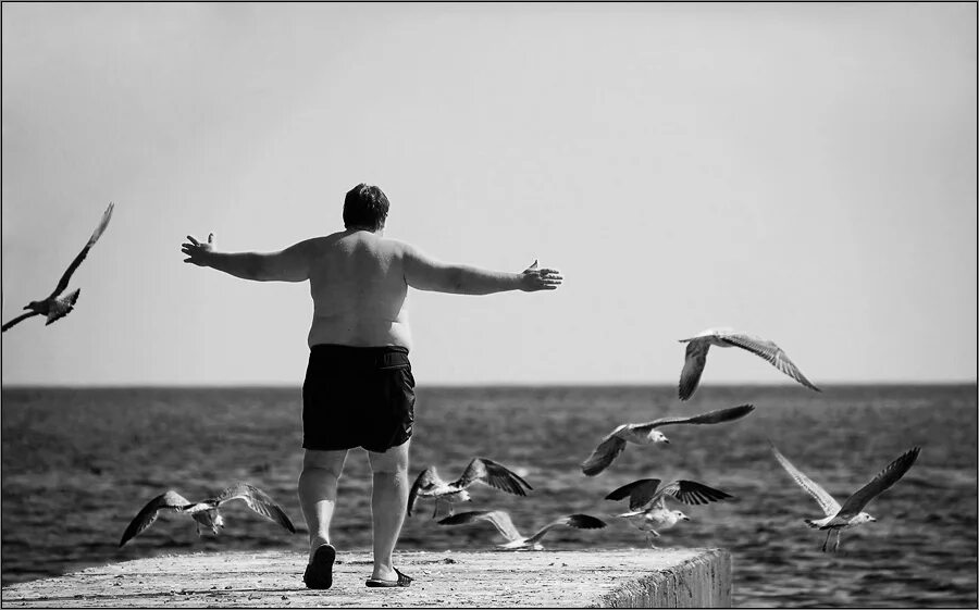 Расскажите птицы автор. Птицы какие бывают птицы. Расскажите птицы текст. Картины с птицами в интерьере. Что манит птицу высота.