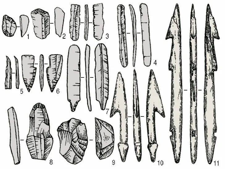 Неолит новокаменный век. Памятники эпохи мезолита. Бутовская культура мезолита. Орудия труда в период неолита. Нарвская культура неолита орудия труда.