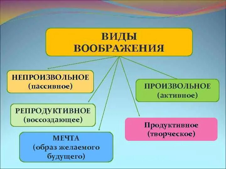 Классификация видов воображения. Воображение понятие. Виды пассивного воображения. Виды произвольного воображения.