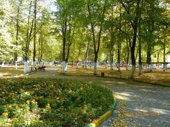 Комиссия приняла работы по благоустройству ЦПКиО в Рязани - МК Рязань