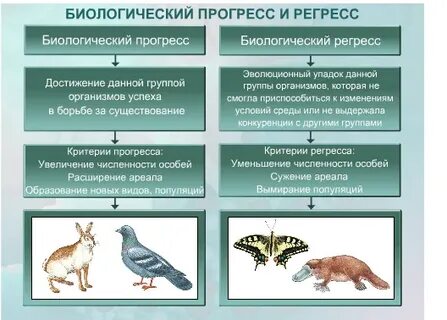 Пути биологического прогресса и регресса