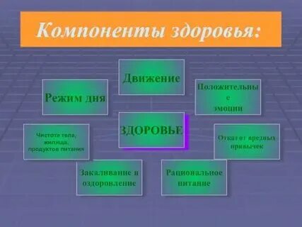 Структурные элементы организма животных. Структурные элементы организма животных