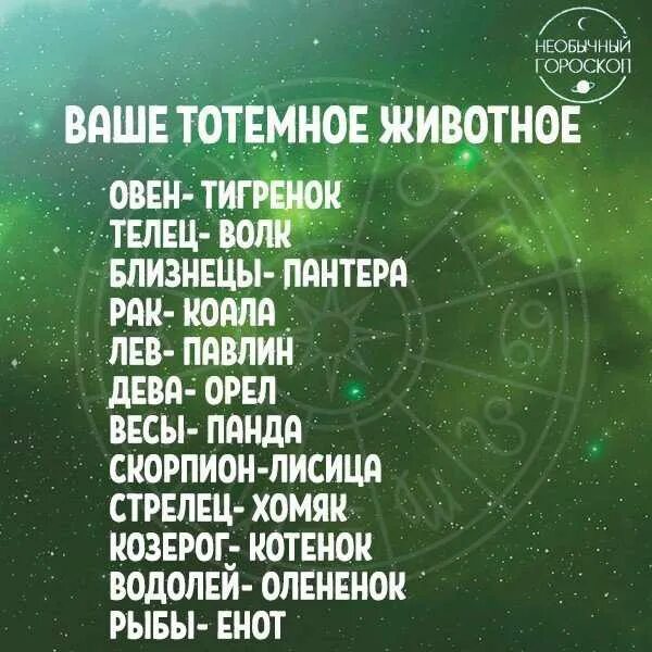 Каких зодиаков больше