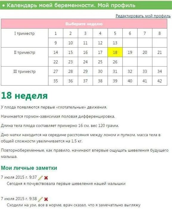 Триместры беременности по месяцам таблица. Календарь беременности. календарь беременности по месяцам. алендарь беременности. календарь по беременности по неделям.