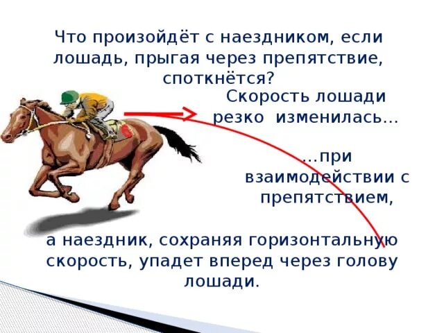 Чему завидовали все наездники и не. Скорость лошади. Скорость бега лошади. Максимальная скорость лошади. Скорость лошади км/ч с наездником.