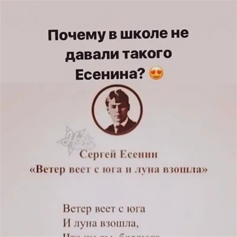 Есенин стихотворение ветер веет с Юга и Луна взошла. Стихотворение Есенина ветер веет с Юга.