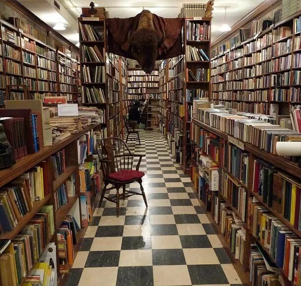 Современный книжный магазин. Полки для книг. Старый книжный магазин. Books in my city. Books in my city.