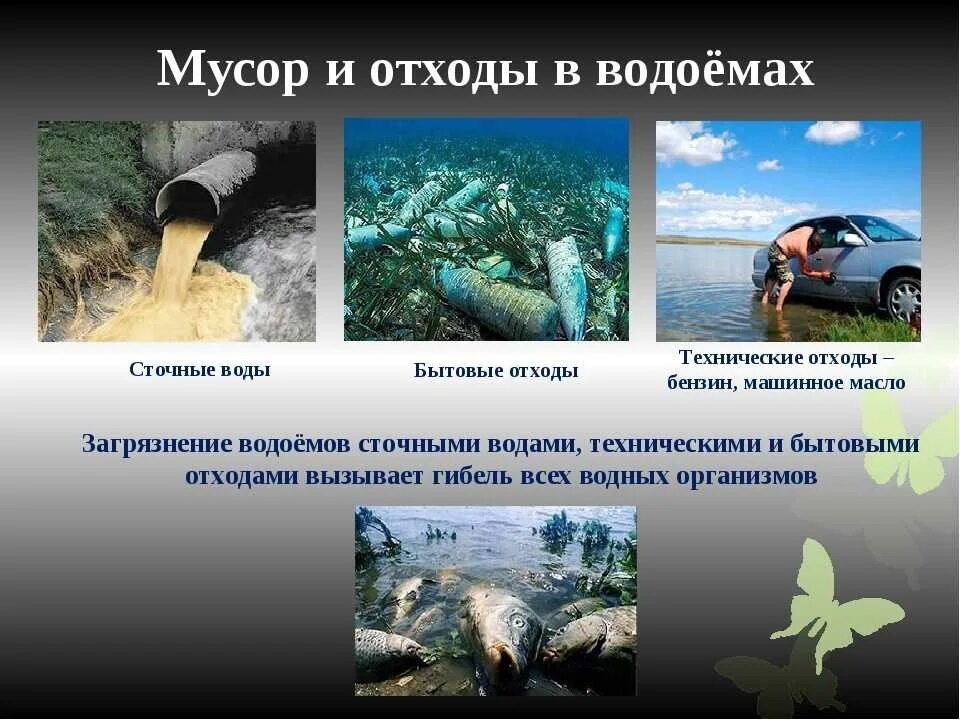 Защита окружающей среды вода. Презентация на тему загрязнение водоемов. Загрязнение воды для дошкольников. Причины загрязнения водоемов. Загрязнение водоемов проект.