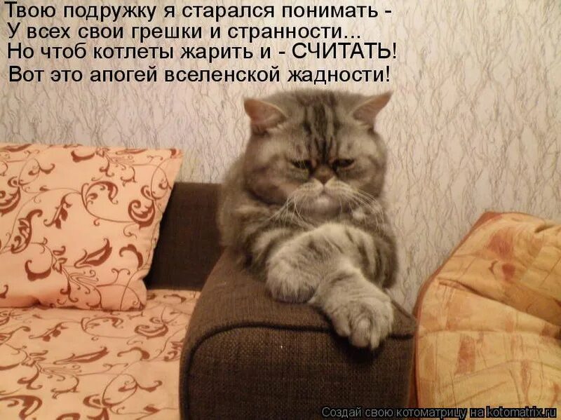 Наглые коты с надписями. Коты с хозяйками с надписями. Хитрые коты с надписями. Без кота и жизнь не та. Легко не будет будет интересно