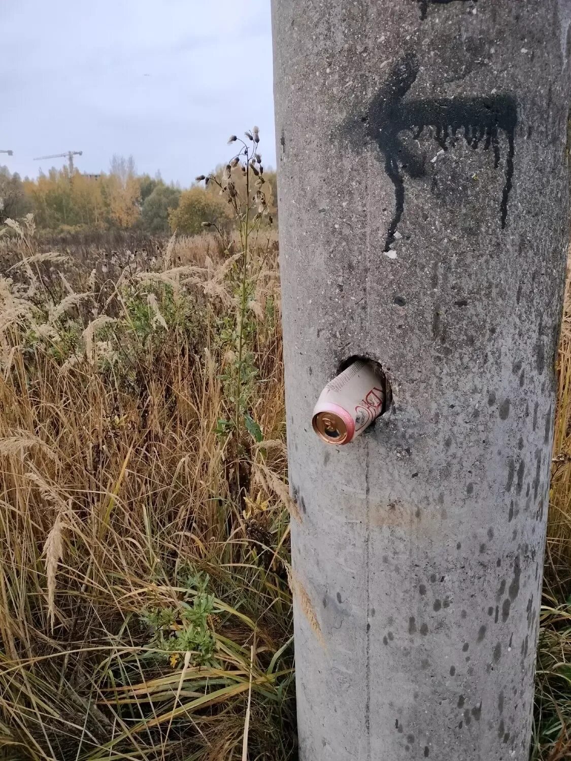 Я приехал в казань опустошенную