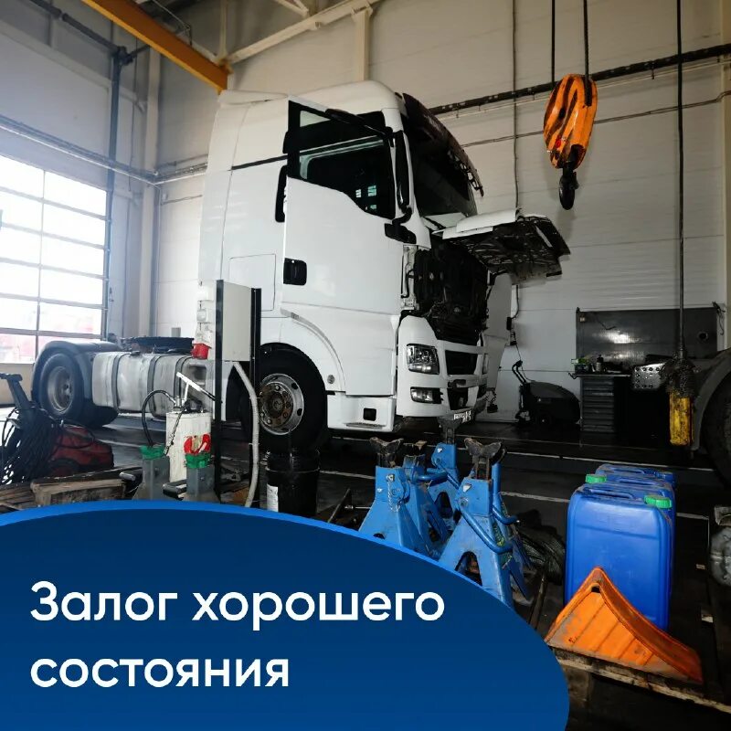 нейс камышин телефон