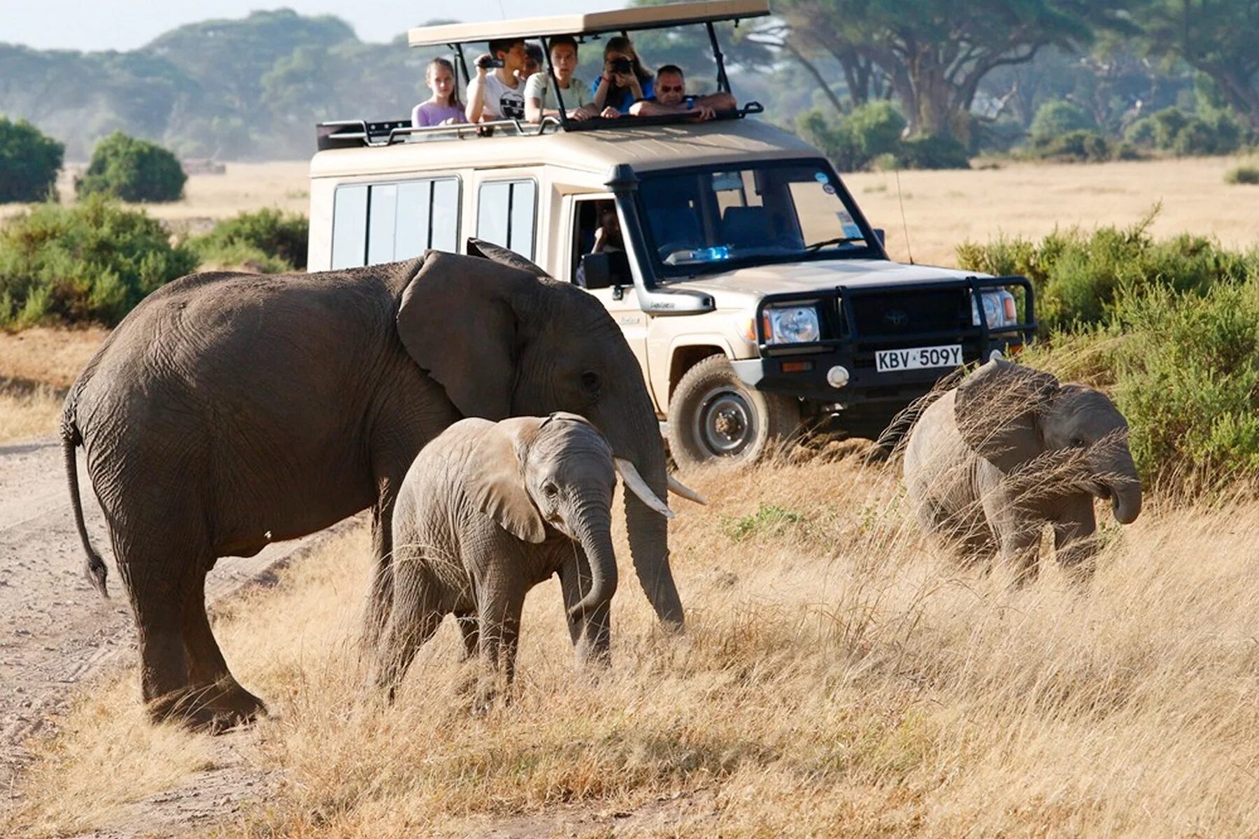 Africa safari. Кения сафари 2022.