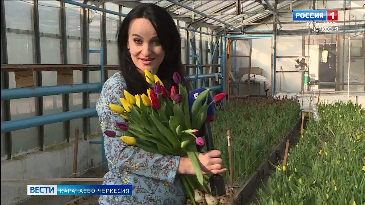 Популярные цветы в России. Карачаева Черкессия утро ГТРК. Цветы в цветах Украины. Гтрк утро