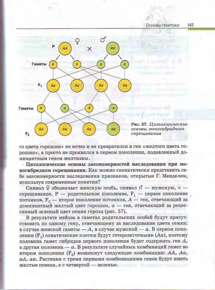 Биология 10 класс пасечник базовый уровень читать. Каменский криксунов пасечник биология 10 11 класс. биология 11 класс учебник каменский криксунов пасечник. рабочая тетрадь каменский криксунов пасечник биология 10-11 класс. биология 11 класс учебник каменский криксунов.