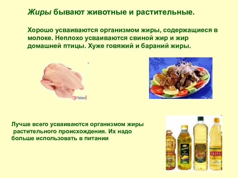 Какой жир усваивается. Растительные и животные жиры. животный и растительный жир. животные жиры и растительные жиры. усвоение растительного и животного жира.