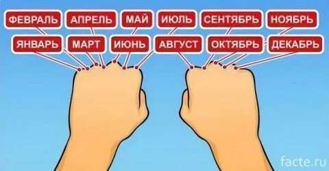Как узнать сколько дней по костяшкам