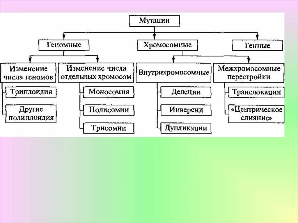 Виды хромосомных мутаций схема. Презентация по теме мутации. Типы мутаций примеры изменчивости типы мутаций причины мутаций. Изменение структуры хромосом. Хромосомные мутации.
