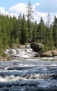 River live