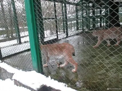 Вольерный комплекс