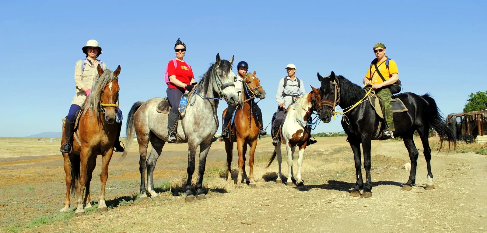 Horsevet. Конные прогулки Феодосия Приморский. Конный туризм в Крыму. Лошади в Крыму.