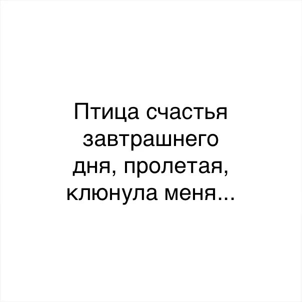 Песня выбери меня птица завтрашнего дня. Птица счастья завтрашнего дня. птица птица счастья завтрашнего дня. птица счастья завтрашнего дня текст. птица счастья завтрашнего дня пролетая клюнула меня.