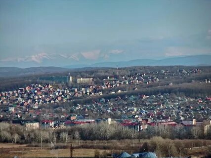 Стардомы краснодарского края