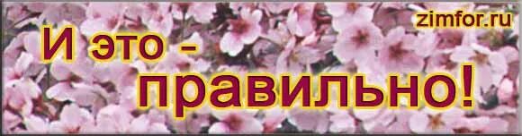 Картинки с надписями правильно. Верно сказано картинки. Верно сказано открытки. Открытка согласна. Верно сказано картинки с надписями.