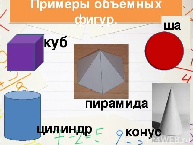 Конус в природе