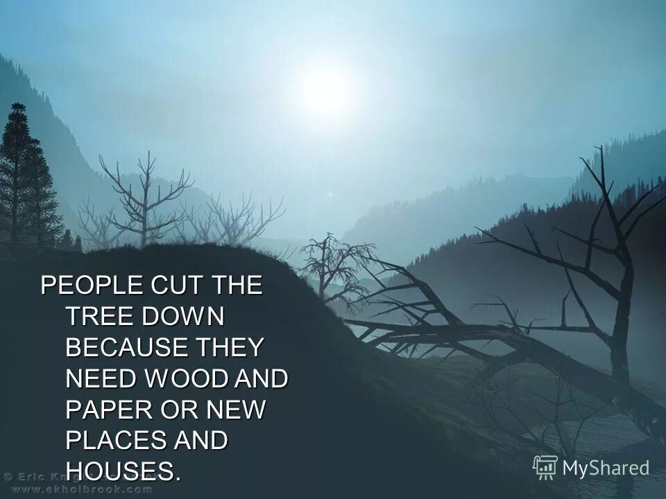 There is there are правило. There are some milk. There are some trees. There is there are таблица. There are there is правила.