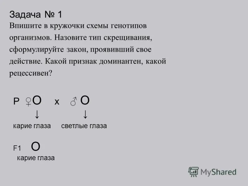 Задачи по генетике. Задачи по генетики на цвет глаз. Задача на генетику цвет глаз. Задачи по генетике глаза. Генотип запись