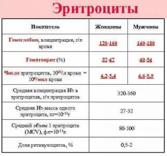Гемоглобин в эритроците повышен у женщины причины