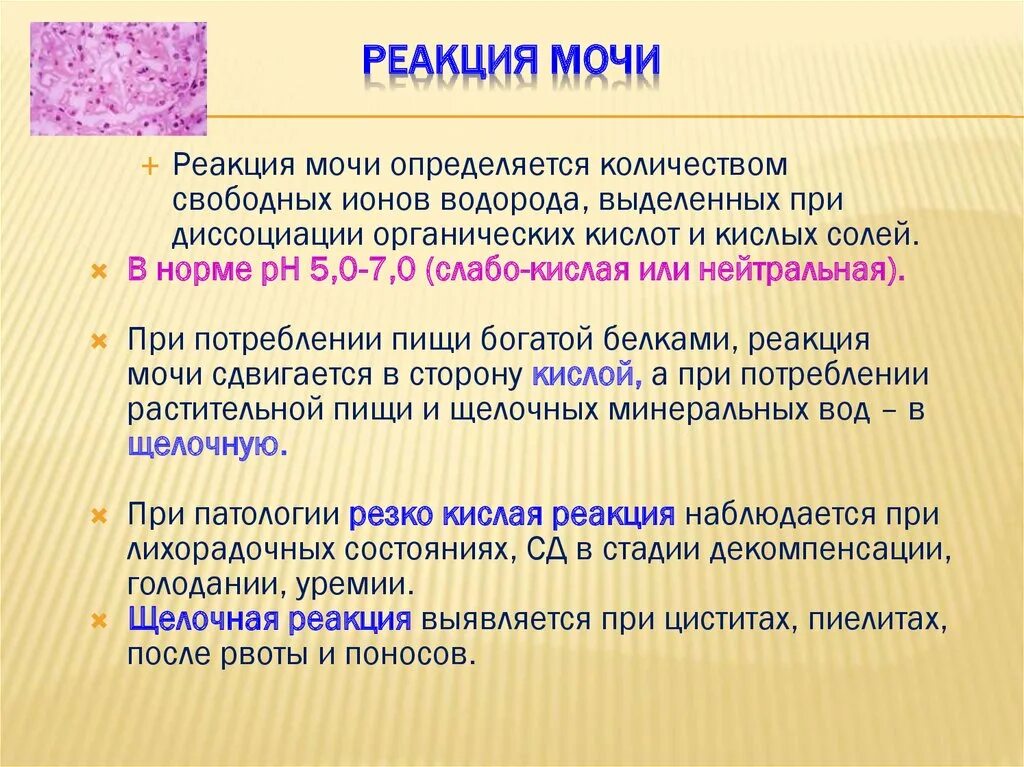 Что означает реакция мочи. Реакция мочи. РН реакция мочи. Реакция PH В моче. Реакция мочи (РН) В норме.