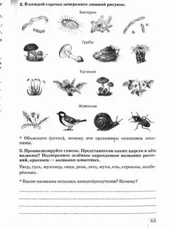 Задание по естествознанию