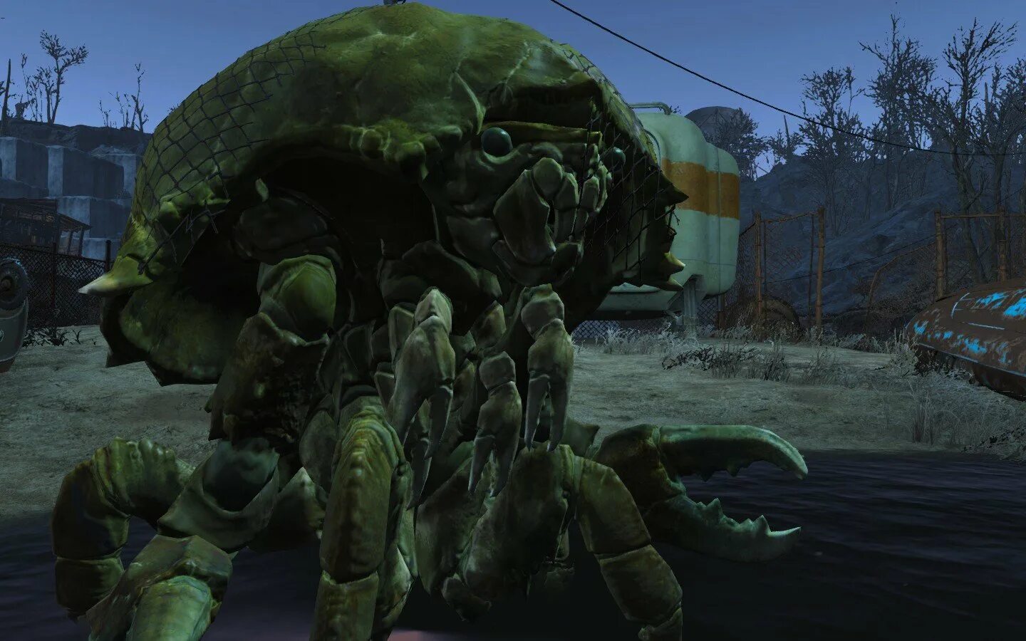 Помянешь черта fallout 4 прохождение. Болотник фоллаут 3. болотник охотник фоллаут 4. mirelurk fallout 4.