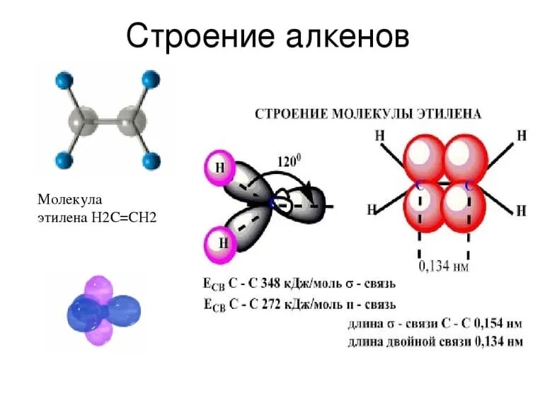 Этилен гибридизация атома. Пространственная структура алкенов. Электронное строение алкенов. Строение молекулы алкенов на примере. Структурная формула этилена c2h4.