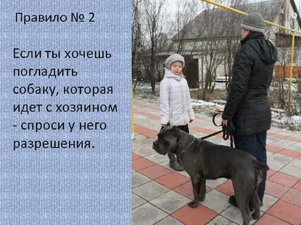Она хозяин чего